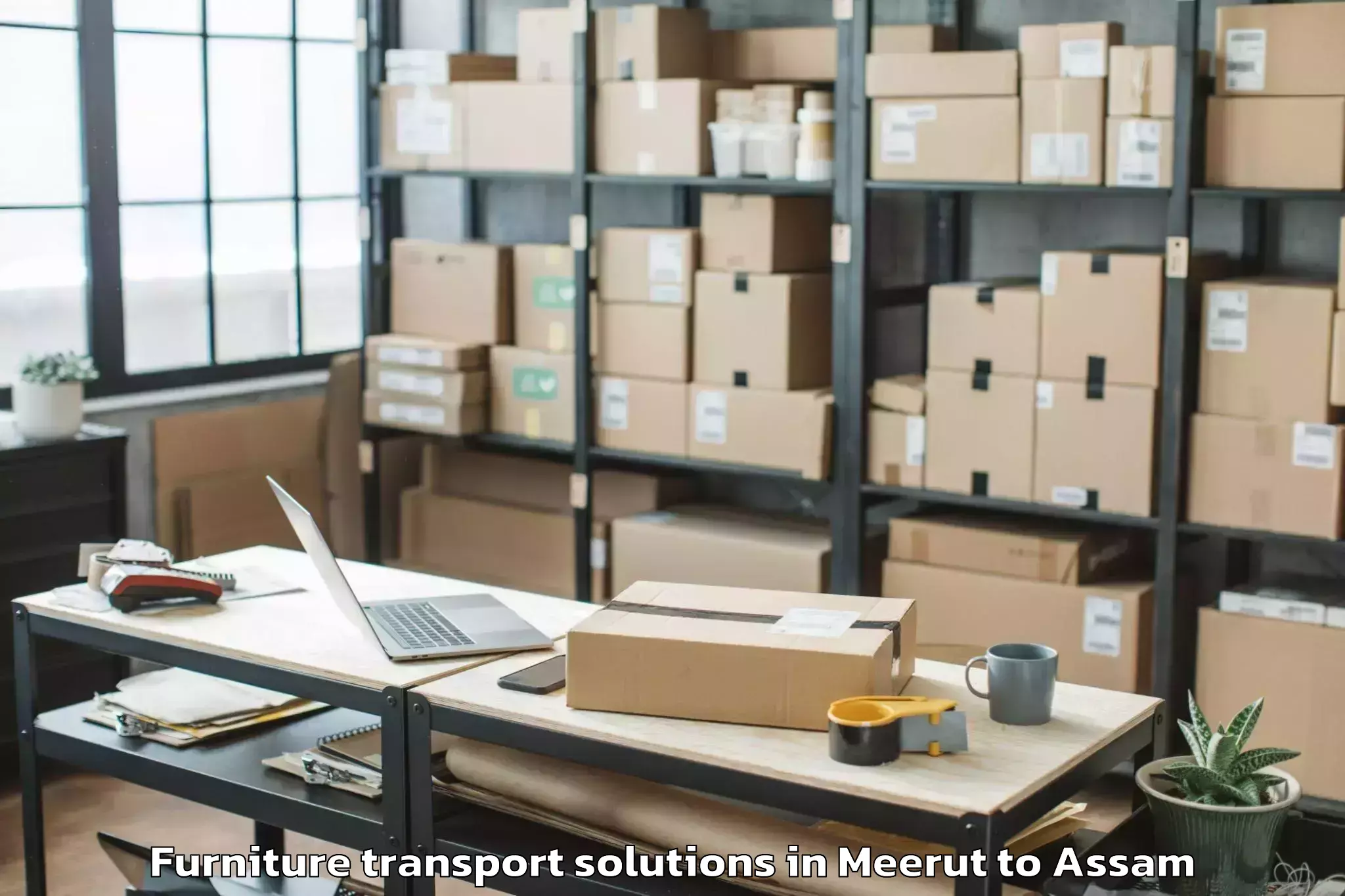 Book Meerut to Abhayapuri Furniture Transport Solutions Online